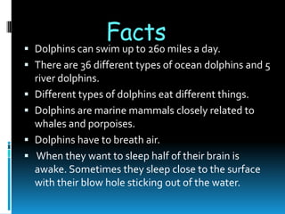 Facts
 Dolphins can swim up to 260 miles a day.
 There are 36 different types of ocean dolphins and 5
    river dolphins.
   Different types of dolphins eat different things.
   Dolphins are marine mammals closely related to
    whales and porpoises.
   Dolphins have to breath air.
   When they want to sleep half of their brain is
    awake. Sometimes they sleep close to the surface
    with their blow hole sticking out of the water.
 