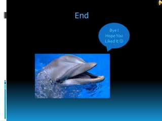 End
         Bye I
      Bye I Hope
        Hope You
      You Liked
        Liked It 
      It
 