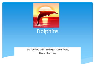 Dolphins
Elizabeth Chalfin and Ryan Greenberg
December 2014
 