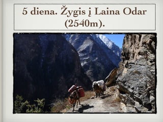 5 diena. Žygis į Laina Odar
(2540m).
 