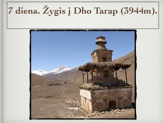 7 diena. Žygis į Dho Tarap (3944m).
 