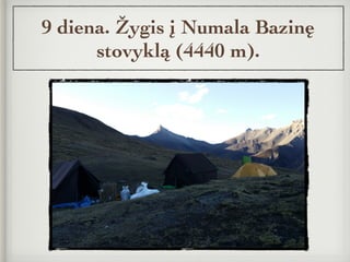 9 diena. Žygis į Numala Bazinę
stovyklą (4440 m).
 