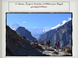 11 diena. Žygis į Temche (4100m) per Bagal
perėją(5169m).
 