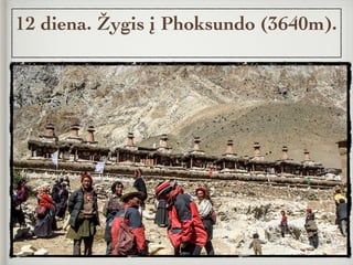 12 diena. Žygis į Phoksundo (3640m).
 