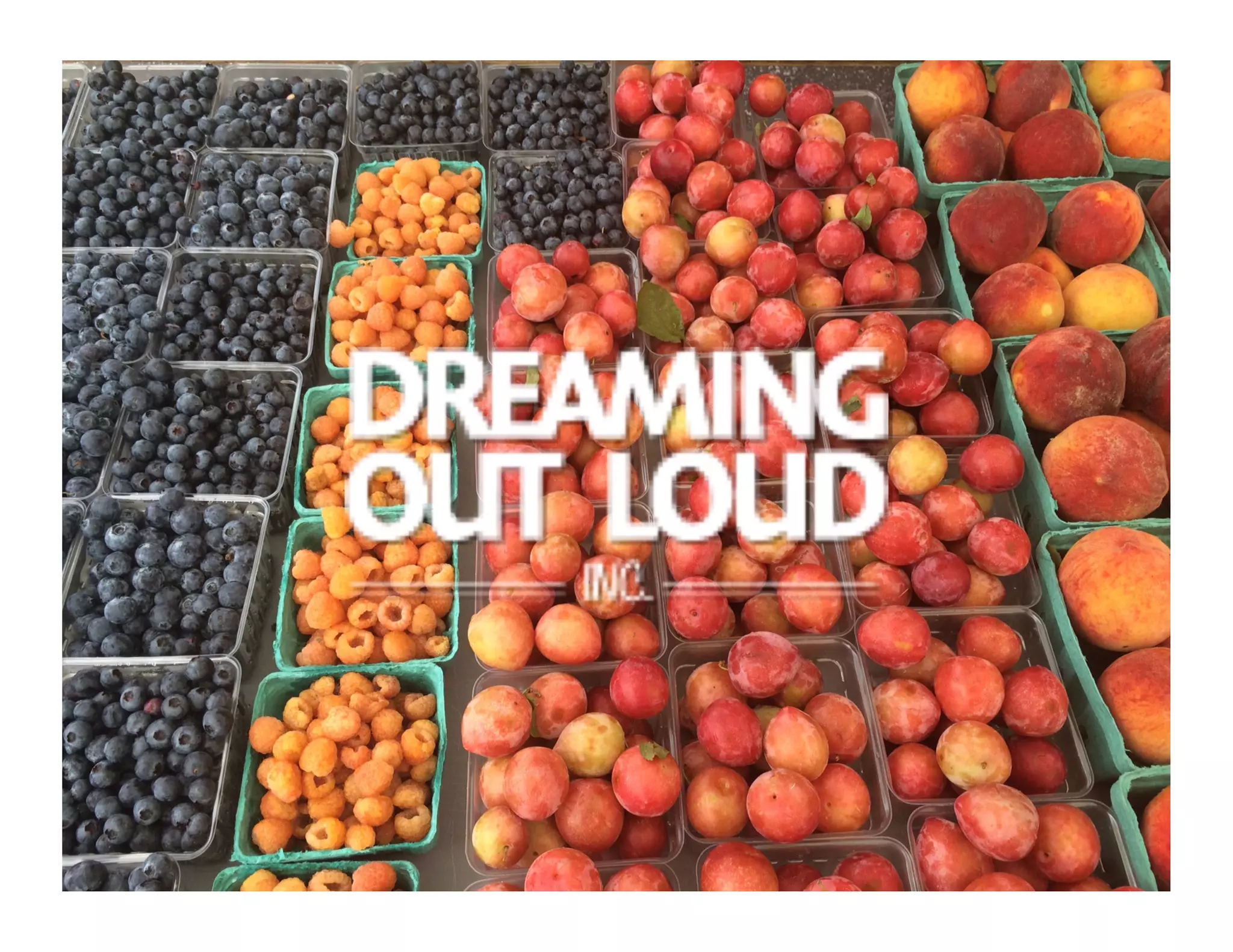 dreaming-out-loud-pdf