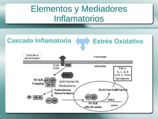 Elementos y Mediadores
            Inflamatorios

Cascada Inflamatoria   Estrés Oxidativo
 