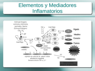 Elementos y Mediadores
     Inflamatorios
 