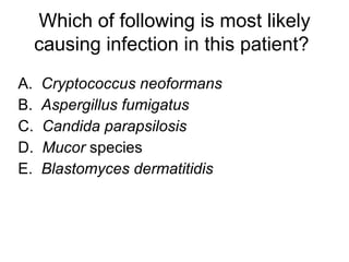 Which of following is most likely causing infection in this patient?   A.  Cryptococcus neoformans B.  Aspergillus fumigatus C.  Candida parapsilosis D.  Mucor  species E.  Blastomyces dermatitidis 