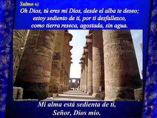 Salmo62Oh Dios, tú eres mi Dios, desde el alba te deseo;estoy sediento de ti, por ti desfallezco,como tierra reseca, agostada, sin agua.Mi almaestásedienta de ti,Señor, Diosmío.