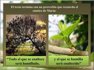 El texto termina con un proverbio que recuerda el cántico de María: “ Todo el que se enaltece  será humillado, y el que se humilla  será enaltecido” 