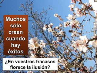 Muchos sólo creen cuando hay éxitos ¿En vuestros fracasos florece la ilusión? 