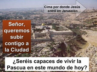 ¿Seréis capaces de vivir la Pascua en este mundo de hoy? Señor, queremos subir contigo a la Ciudad Cima por donde Jesús  entró en Jerusalén 
