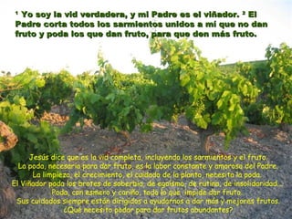 11
Yo soy la vid verdadera, y mi Padre es el viñador.Yo soy la vid verdadera, y mi Padre es el viñador. 22
ElEl
Padre corta todos los sarmientos unidos a mí que no danPadre corta todos los sarmientos unidos a mí que no dan
fruto y poda los que dan fruto, para que den más fruto.fruto y poda los que dan fruto, para que den más fruto.
Jesús dice que es la vid completa, incluyendo los sarmientos y el fruto.
La poda, necesaria para dar fruto, es la labor constante y amorosa del Padre.
La limpieza, el crecimiento, el cuidado de la planta, necesita la poda.
El Viñador poda los brotes de soberbia, de egoísmo, de rutina, de insolidaridad...
Poda, con esmero y cariño, todo lo que impide dar fruto.
Sus cuidados siempre están dirigidos a ayudarnos a dar más y mejores frutos.
¿Qué necesito podar para dar frutos abundantes?
 