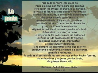 Nos poda el Padre, eso dices Tú.Nos poda el Padre, eso dices Tú.
Poda a los que dan fruto, para que den más.Poda a los que dan fruto, para que den más.
Nos podan los amigos, el grupo, la comunidad,Nos podan los amigos, el grupo, la comunidad,
a través de las relaciones claras y fraternales;a través de las relaciones claras y fraternales;
a través de la ayuda, la crítica y la experiencia.a través de la ayuda, la crítica y la experiencia.
Nos podan cuando ponen en crisisNos podan cuando ponen en crisis
nuestro estilo de vida y escala de valores;nuestro estilo de vida y escala de valores;
cuando nos hacen afrontar las incoherenciascuando nos hacen afrontar las incoherencias
y zonas oscuras de nuestro ser.y zonas oscuras de nuestro ser.
Algunos se podan a sí mismos para dar más fruto.Algunos se podan a sí mismos para dar más fruto.
Saben decir no a ciertas cosas.Saben decir no a ciertas cosas.
La mayoría de las podas vienen sin buscarlas.La mayoría de las podas vienen sin buscarlas.
Las trae la vida cuando menos lo esperas;Las trae la vida cuando menos lo esperas;
son podas involuntarias, imprevistas,son podas involuntarias, imprevistas,
a veces duras y dolorosas,a veces duras y dolorosas,
y no siempre las aceptamos como algo positivo.y no siempre las aceptamos como algo positivo.
Involuntaria o voluntaria, a tiempo o a destiempo,Involuntaria o voluntaria, a tiempo o a destiempo,
asumida o rechazada,asumida o rechazada,
la poda es el secreto de las personas que se han hecho fuertes,la poda es el secreto de las personas que se han hecho fuertes,
de los hombres y mujeres que dan fruto,de los hombres y mujeres que dan fruto,
de quienes tienen vida.de quienes tienen vida.
¡Pódanos, Señor! ¡Pódame, Señor!¡Pódanos, Señor! ¡Pódame, Señor!
Ulibarri, Fl.Ulibarri, Fl.
 