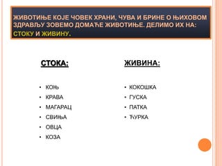 Domace zivotinje | PPT
