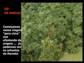 Começamos nossa viagem “para cima” nos afastando da origem ...  já podemos ver os arbustos da floresta 10 1   10 metros 