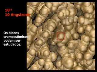Os blocos cromossômicos podem ser estudados. 10 -9 10 Angstrons 