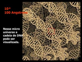 Nesse micro universo a cadeia de DNA pode ser visualizada.  10 -8 100 Angstrons 