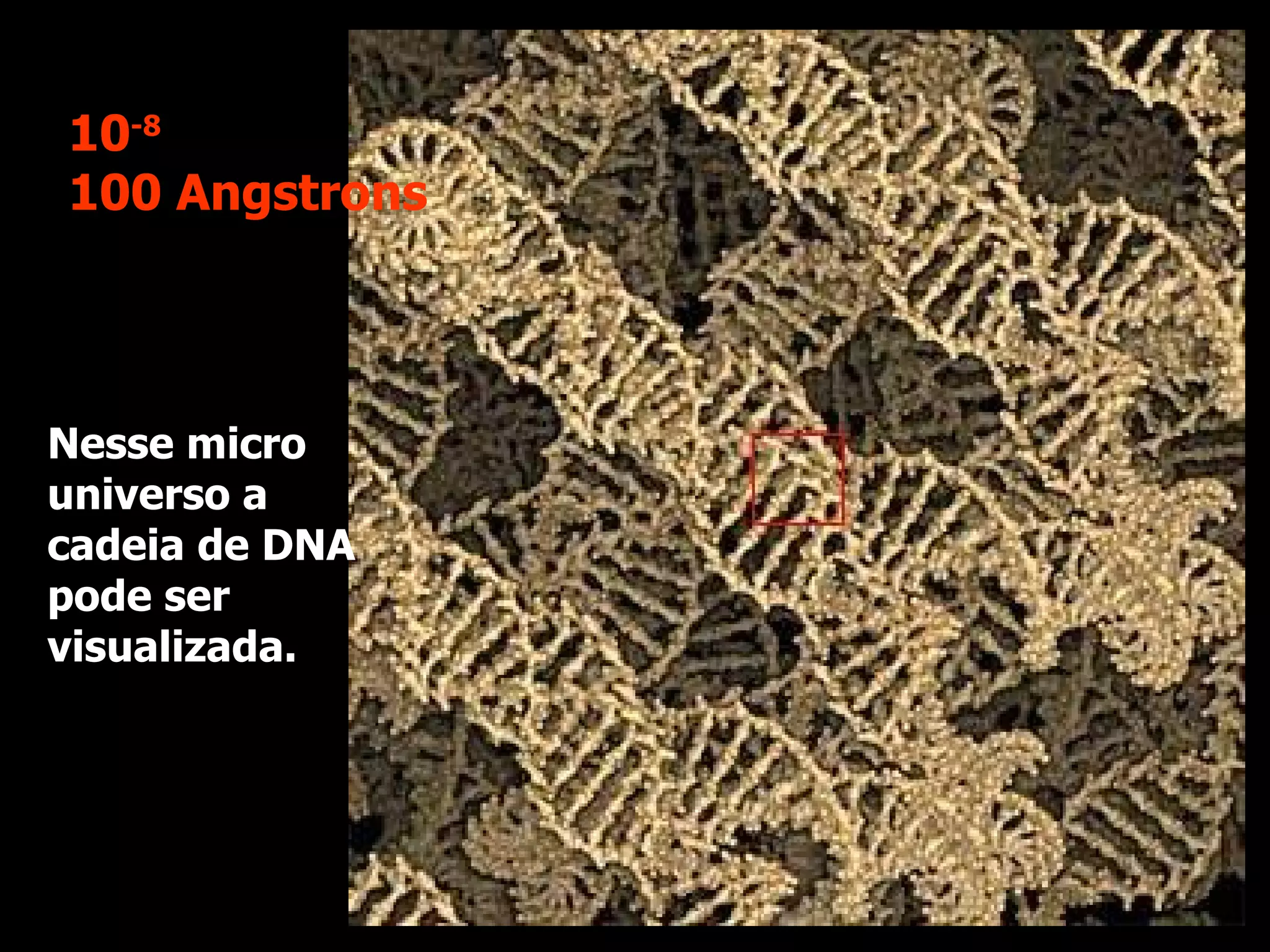 Nesse micro universo a cadeia de DNA pode ser visualizada.  10 -8 100 Angstrons 