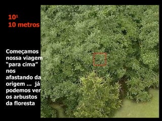 Começamos nossa viagem “para cima” nos afastando da origem ...  já podemos ver os arbustos da floresta 10 1   10 metros 