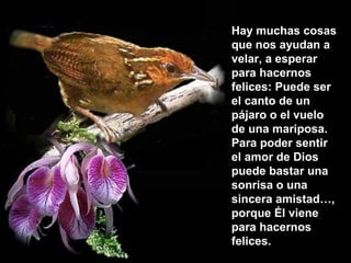 Hay muchas cosas
que nos ayudan a
velar, a esperar
para hacernos
felices: Puede ser
el canto de un
pájaro o el vuelo
de una mariposa.
Para poder sentir
el amor de Dios
puede bastar una
sonrisa o una
sincera amistad…,
porque Él viene
para hacernos
felices.
 