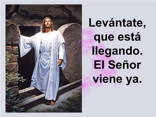 Levántate,
que está
llegando.
El Señor
viene ya.
 