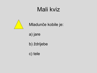 Mali kviz
Mladunče kobile je:
а) jare
b) ždrijebe
c) tele
 