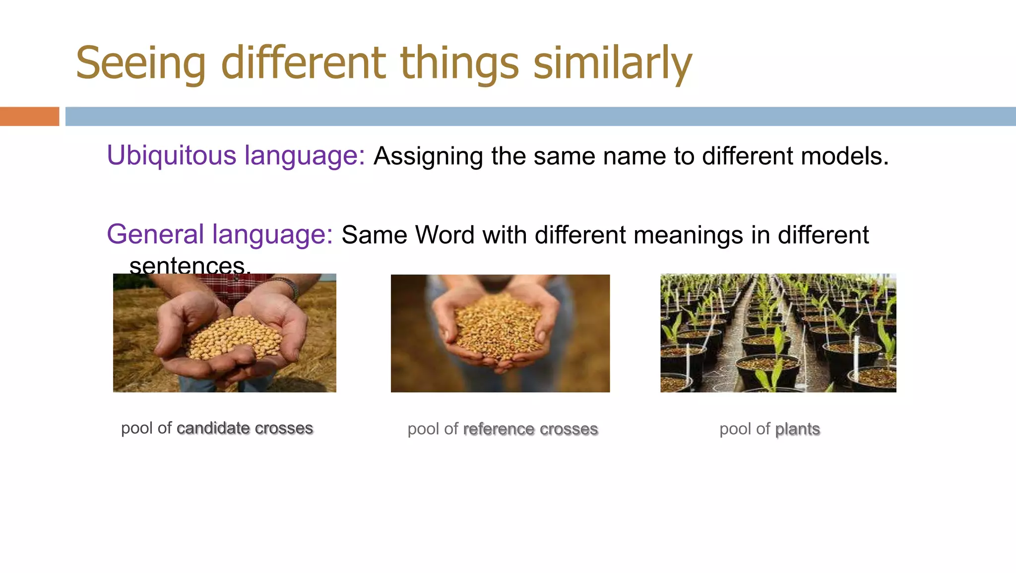 Seeing different things similarly
Ubiquitous language: Assigning the same name to different models.
General language: Same Word with different meanings in different
sentences.

pool of candidate crosses

pool of reference
crosses

pool of plants

 