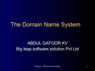 The Domain Name System ABDUL GAFOOR KV Big leap software solution Pvt Ltd 