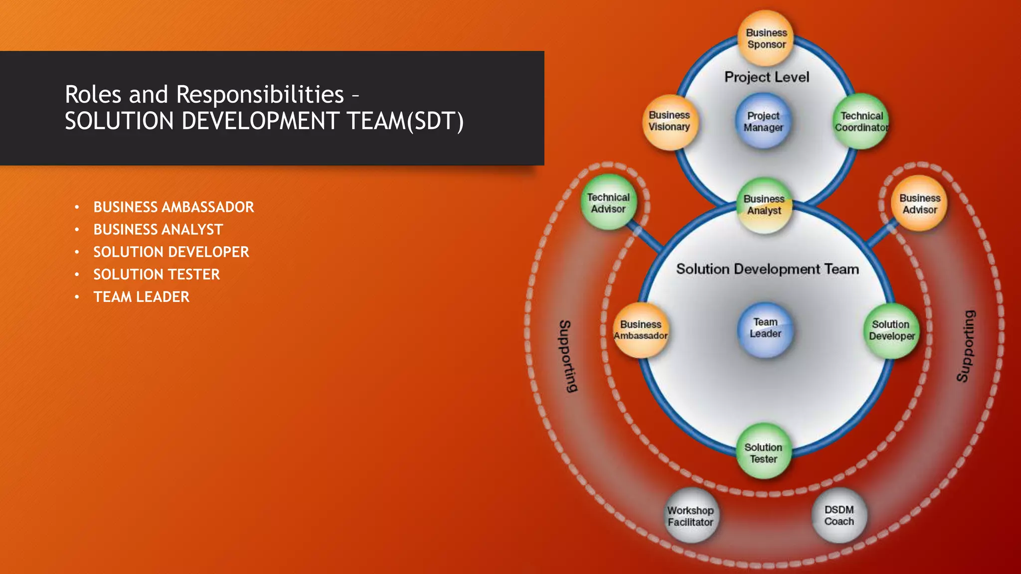 • BUSINESS AMBASSADOR
• BUSINESS ANALYST
• SOLUTION DEVELOPER
• SOLUTION TESTER
• TEAM LEADER
Roles and Responsibilities –
SOLUTION DEVELOPMENT TEAM(SDT)
 