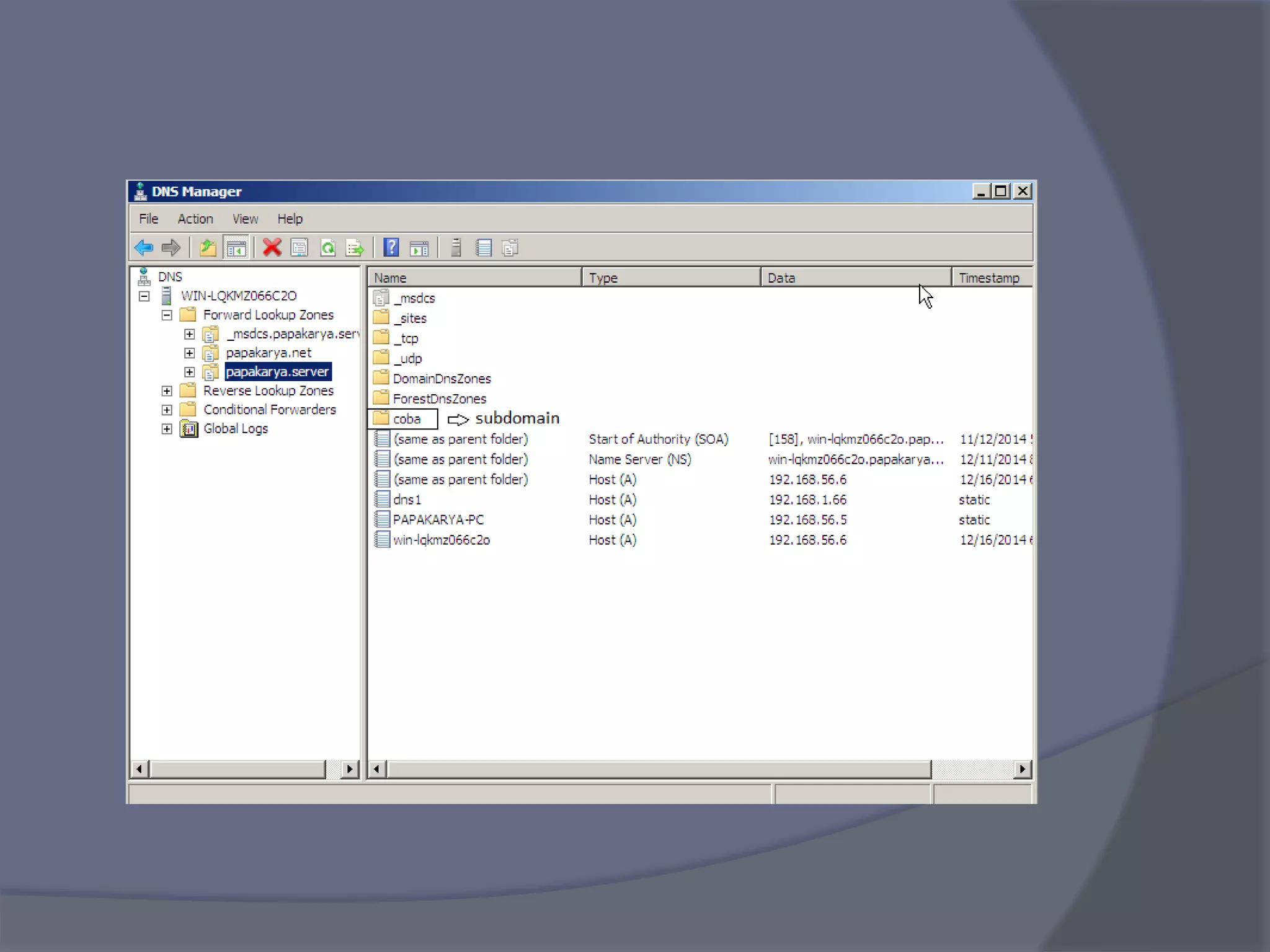Domain dan sub domain