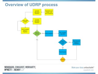 Overview of UDRP process
 