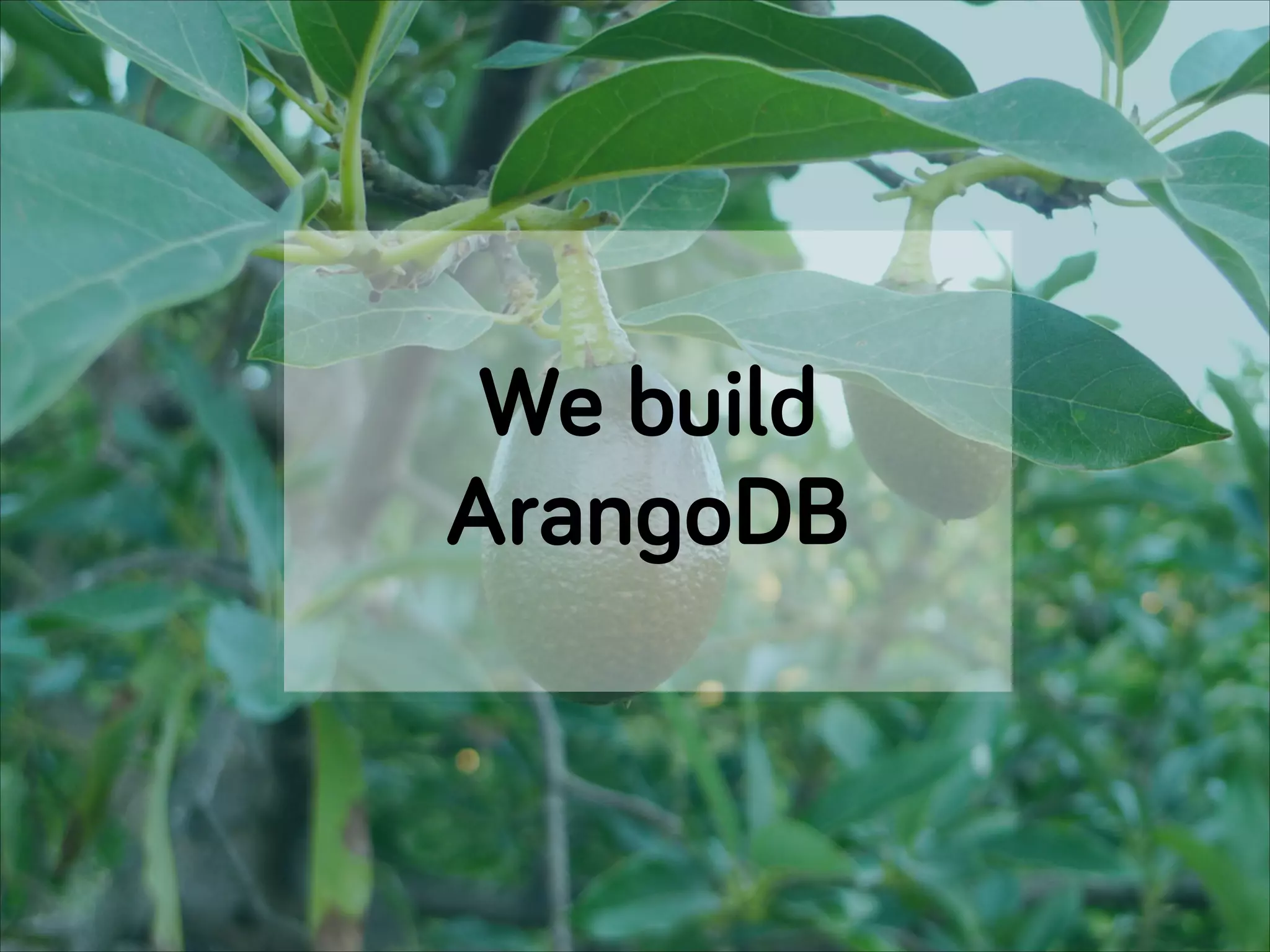 We build
ArangoDB
 