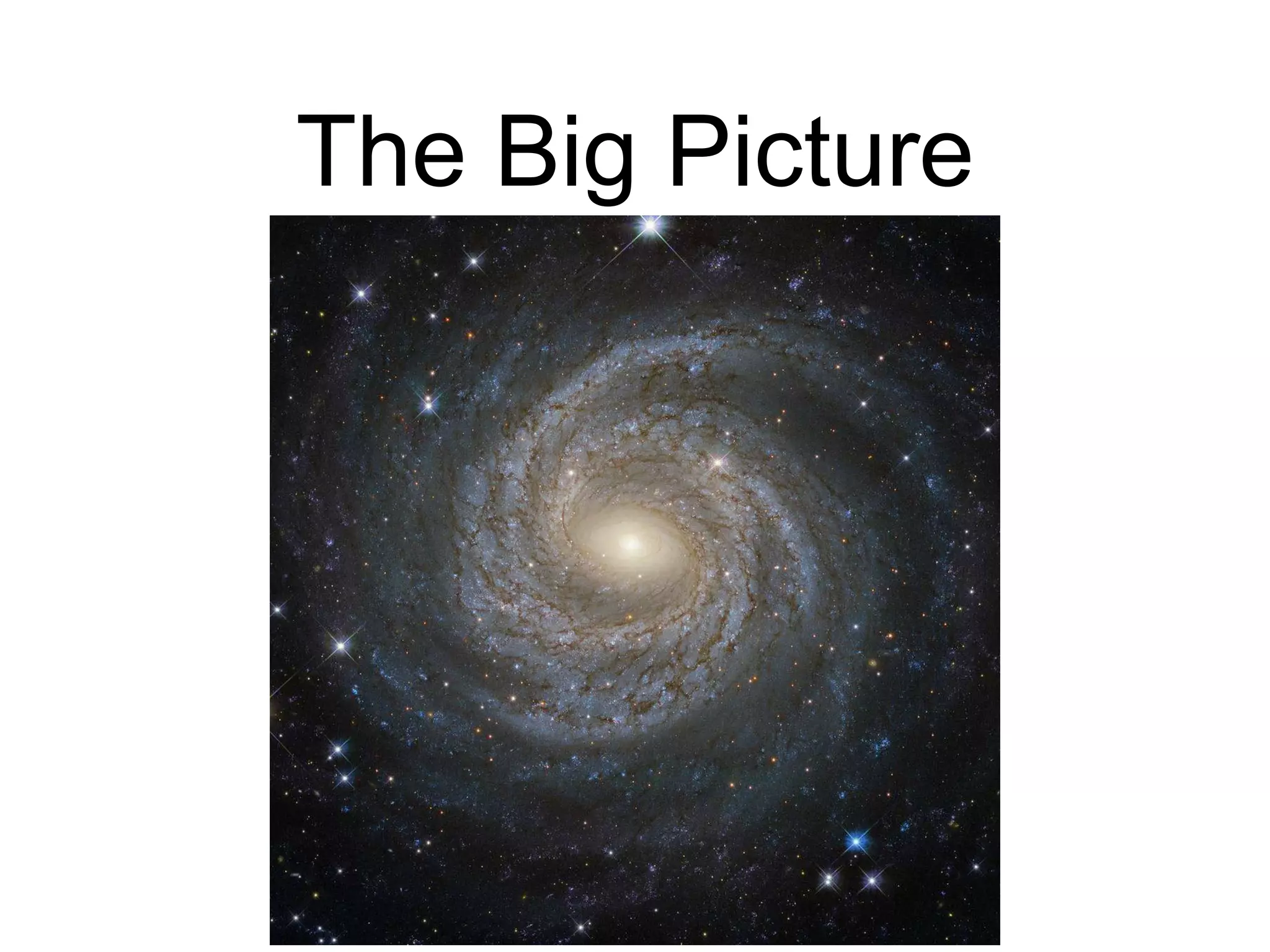 The Big Picture 