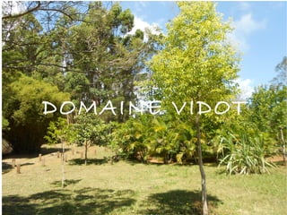 DOMAINE VIDOT 