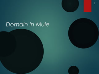 Domain in Mule
1