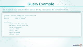 Or, if I want to have an authoritative answer directly, I can specify the name server host:
Query Example
 