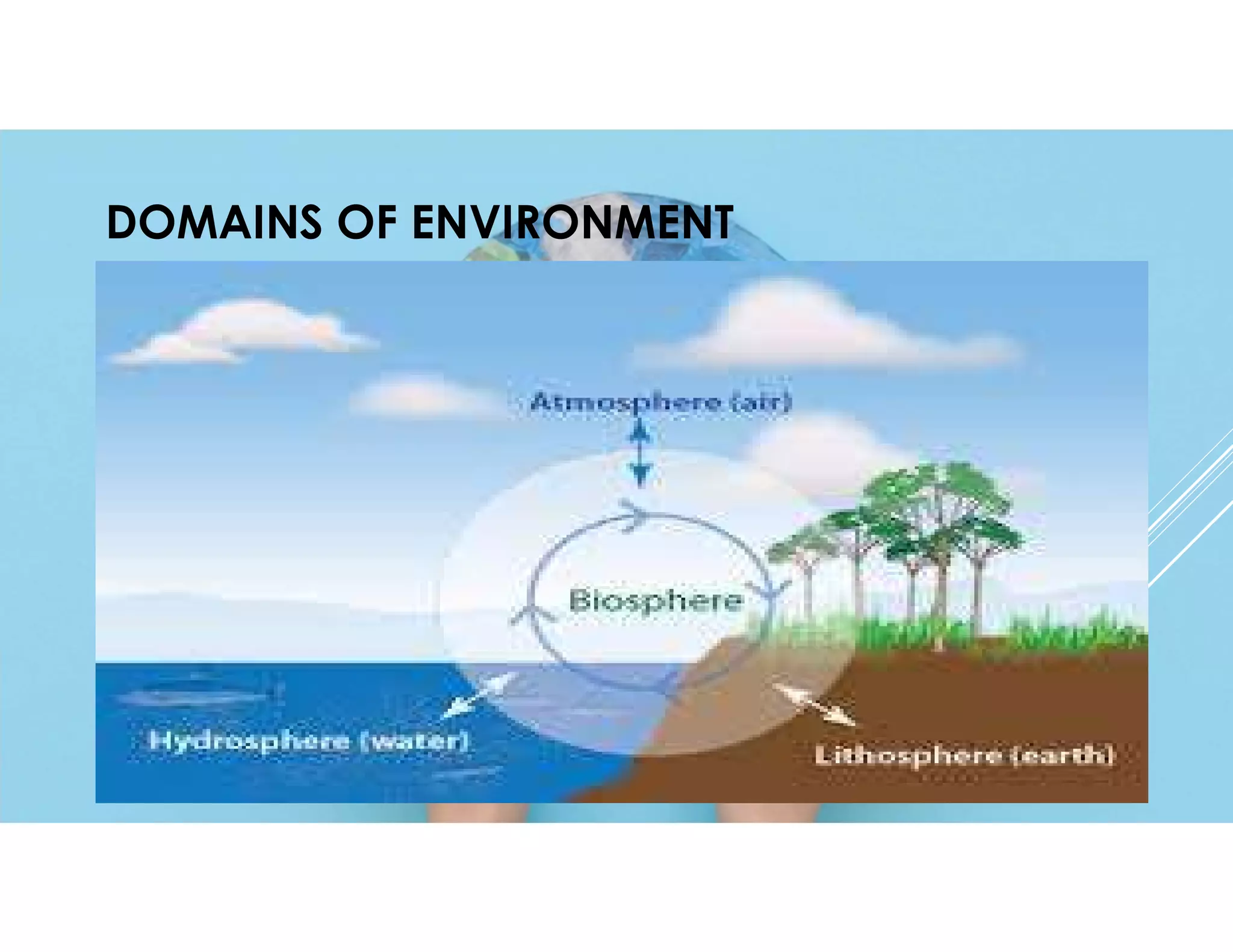 Domains of envronment | PDF