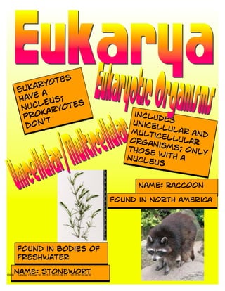 12808   Tuesday, October 30, 2012 11:03:18 AM CT   00:25:bc:e2:ce:92
 