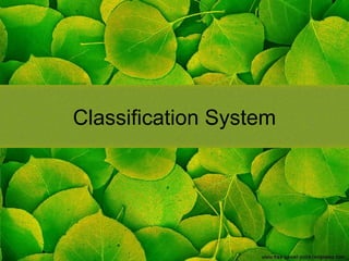 Classification System 