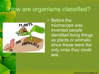 How are organisms classified? Before the microscope was invented people identified living things as plants or animals, since these were the only ones they could see. 