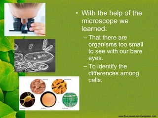 With the help of the microscope we learned: That there are organisms too small to see with our bare eyes. To identify the differences among cells. 