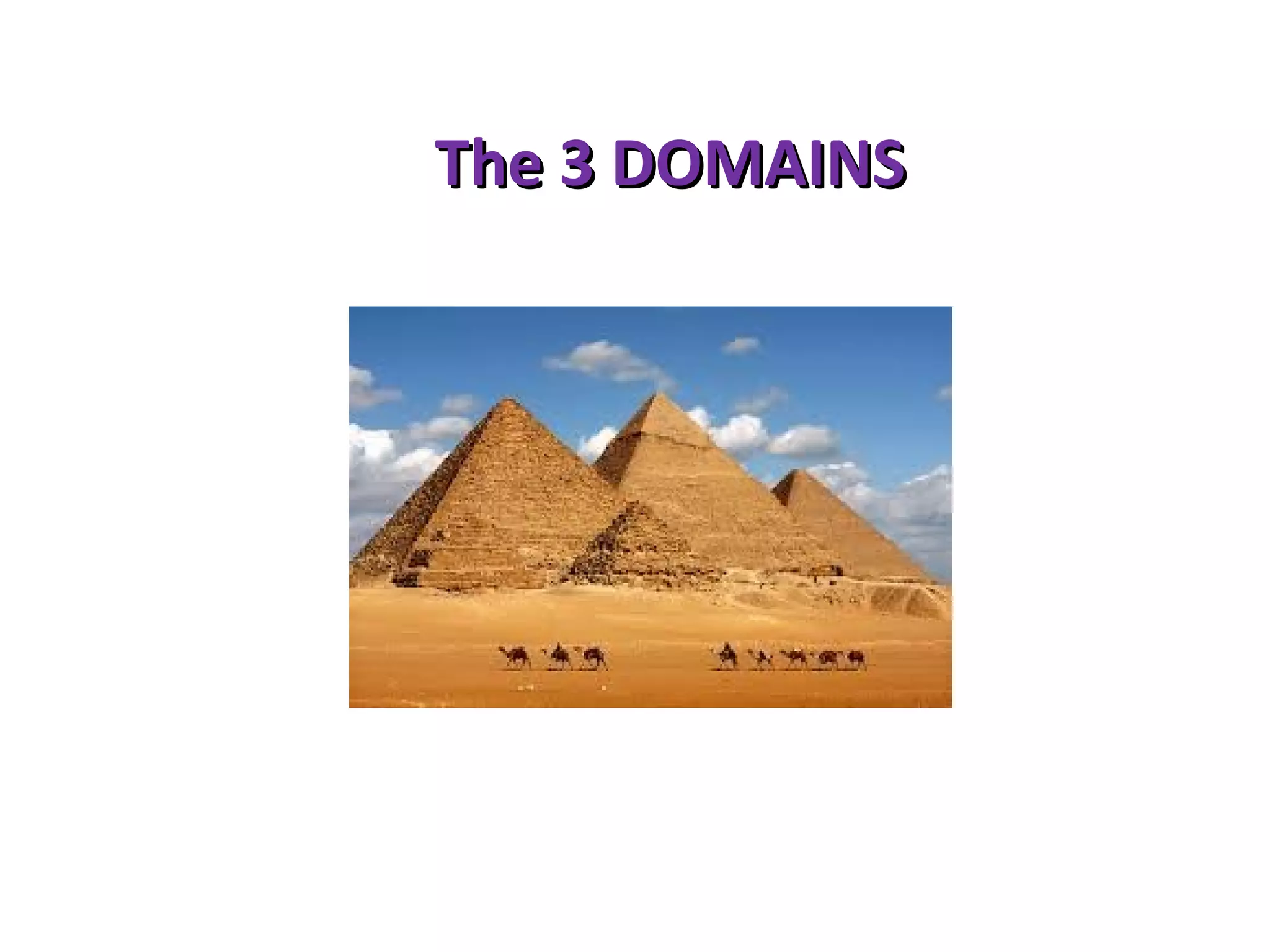 The 3 DOMAINSThe 3 DOMAINS
 