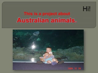 This is a project about

Australian animals.

 