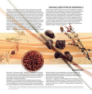 Пыльца - скопление пыльцевых зёрен цветковых растений
В процессе эволюции растения, нуждающиеся в опылении,
стали образовывать очень вкусную и питательную пыльцу, что-
бы привлечь как можно больше опылителей. Именно поэтому
пыльца большинства растений за долгие годы их существова-
ния приобрела замечательные питательные свойства, позво-
ляющие считать ее супер-продуктом. Пыльцевая обножка -
пыльца, собранная пчелами и обогащенная секретом их желез
и нектаром. В отличие от пыльцы ветроопыляемых растений,
пыльца, собираемая пчёлами, как правило, не аллергенна.
Пыльца (пыльцевая обножка) снимает воспаления, ускоряет
заживление ран, стимулирует рост и регенерацию повреж-
дённых тканей, в т.ч. клеток печени, даёт положительный
эффект в комплексном лечении ишемической болезни сердца,
гипертонической болезни, гипотонии, миокардитов и ревма-
тизма сердца. При употреблении пыльцы цветочной (обножки)
улучшаются показатели липидного обмена, нормализуется
сердечный ритм, повышается физическая работоспособность.
Пыльца улучшает кроветворение и укрепляет капилляры, в
частности, сосудов головного мозга. В ней содержатся почти
все микроэлементы, входящие в состав человеческой крови,
– железо, медь и марганец. Пыльца особенно рекомендована
детям в период интенсивного роста, больным при восста-
новлении после тяжелых болезней, операций, ослабленным
людям и людям старшего возраста.
Прополис (пчелиный клей) – продукт переработки пчелами
смолистых веществ, собранных с почек различных деревьев
и кустарников. Растения вырабатывают смолистые вещества
для защиты нежных пазушных почек (зачатков листьев) от
чужеродных микроорганизмов.
Входящие в состав прополиса биофлавоноиды, коричные
кислоты, ароматические кислоты и эфирные масла определя-
ют многообразие его биологических свойств (антиоксидант-
ные, противовирусные, противогрибковые, антитоксические,
болеутоляющие, регенерирующие, противоопухолевые,
иммуномодулирующие и другие). Прополис увеличивает
физиологическую устойчивость организма в неблагоприят-
ных условиях внешней среды.
Прополис – лидер по антиоксидантной активности и
содержанию биофлавоноидов* среди употребляемых в
пищу продуктов. Он поддерживает иммунную систему и
помогает защитить клетки от повреждений свободными
радикалами.
ПРОПОЛИС
ПЫЛЬЦА ЦВЕТОЧНАЯ (ОБНОЖКА)
*Биофлавоноиды – витаминоподобные вещества растительного происхождения (рутин, кверцетин, катехин и др.). Помогают усвоению витамина С, укрепляют капилляр-
ные сосуды и улучшают их проницаемость, тормозят перекисное расщепление липидов (антиокислительное действие), положительно влияют на работу печени, снижают
уровень холестерина.
 