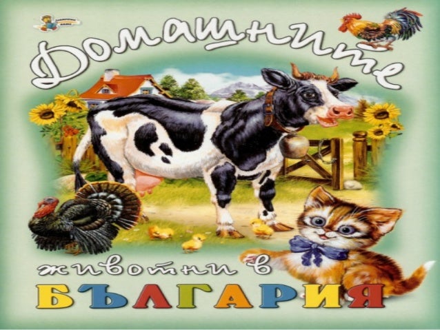 Domashni.jivotni Домашни животни в България