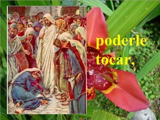 poderle
tocar,
 