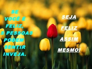SE
VOCÊ É
FELIZ,
AS PESSOAS
PODEM
SENTIR
INVEJA.
SEJA
FELIZ
ASSIM
MESMO!
 