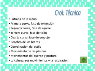 • Entrada de la mano
• Primera curva, fase de extensión
• Segunda curva, fase de agarre
• Tercera curva, fase de tirón
• Cuarta curva, fase de empuje
• Recobro de los brazos
• Coordinación del estilo
• Movimiento de las piernas
• Movimientos del cuerpo y postura
• La cabeza, sus movimientos y la respiración.
 