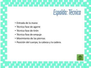 • Entrada de la mano
• Técnica fase de agarre
• Técnica fase de tirón
• Técnica fase de empuje
• Movimiento de las piernas
• Posición del cuerpo, la cabeza y la cadera.
 
